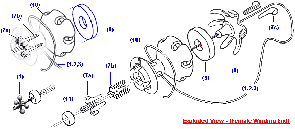 one half (one end) of the pair of coil assemblies